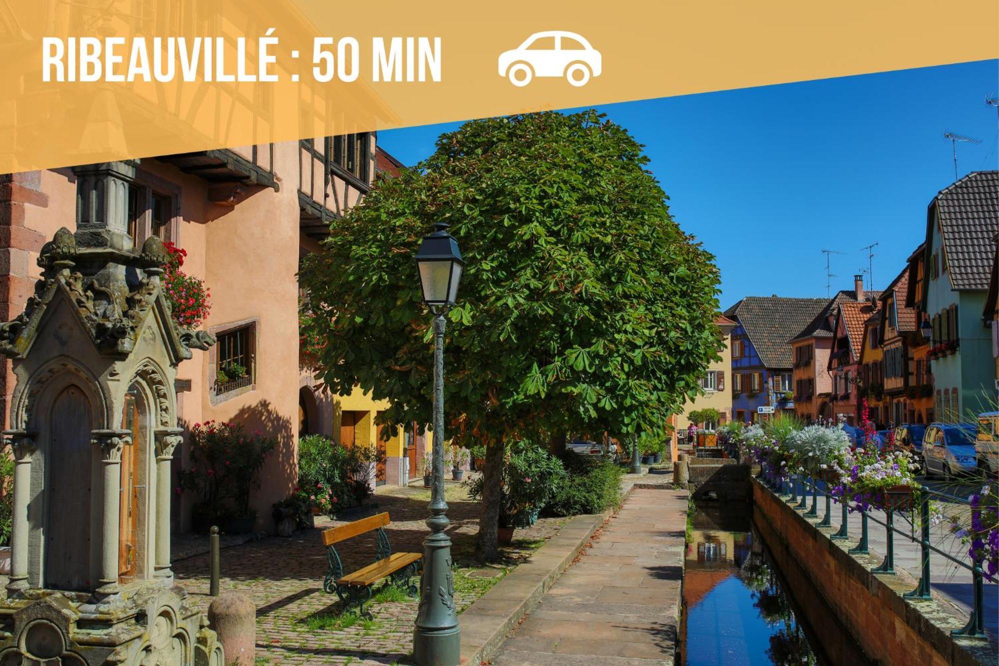 Lit Rond Tres Grand Et Confortable - Garage Possible Ou Parking Gratuit Rue - Gare 2 Min Et Ville 4 Min En Tram - Ciel Etoile - Netflix Videoprojecteur - Luxe Et Evasion 스트라스부르 외부 사진