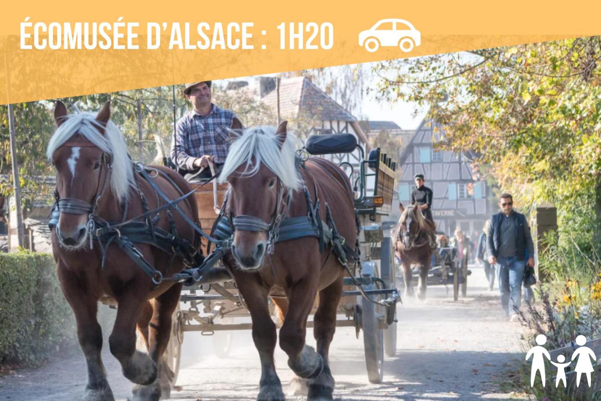 Lit Rond Tres Grand Et Confortable - Garage Possible Ou Parking Gratuit Rue - Gare 2 Min Et Ville 4 Min En Tram - Ciel Etoile - Netflix Videoprojecteur - Luxe Et Evasion 스트라스부르 외부 사진
